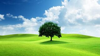 5 Minute Timer Adam Eschborn 1080p h264