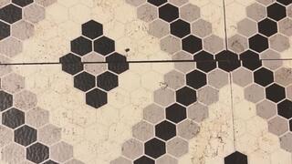 Master likes to be worshiped MP4