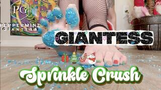 ASMR Giantess Sprinkle Crush Size 16 Feet Destruction