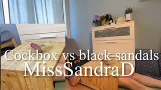 cock box vs black sandals