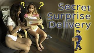 Secret Surprise Delivery