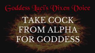 Take Alpha Cock For Goddess