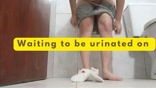 Waiting to be urinated on and squashed