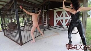 Whipping Interrogation