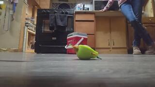 Chrissy candid boots in kitchen