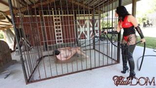 Temptress Raven Eve Trains Her Pet