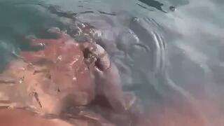 Listening to gooning audio in the pool and jerking off