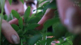 Housesitter Giantess