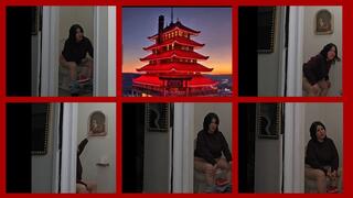 Merry Christmas COUNTDOWN is on 2 toilet bundle