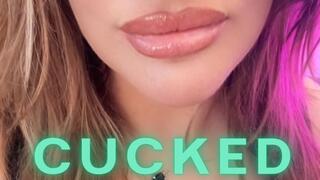Cucked [Designed for Mobile]