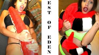 The Best of Eden 5 (MP4)