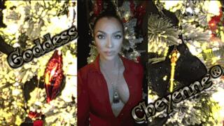 Tinsel TitTease wmv