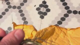 The best tickling objects MP4