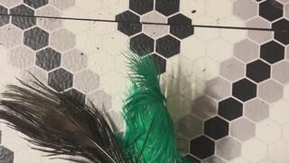 Feather Tickling Story MP4