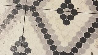 What is doggie style sex MP4