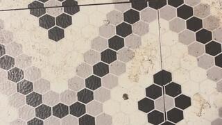 Doggie Style Sex Story MP4