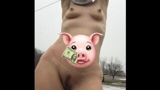 PUPPY HOUSE PLAYS OUTDOORS