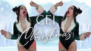 CEI Christmas