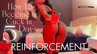 How To Become A Cuck In 5 Day's: Reinforcement