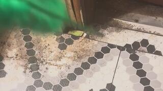 How to tickle someone MP4