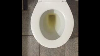 MONEY DRAIN GOLDEN TOILET