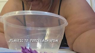 PLASTIC TO PORCELAIN SPEW