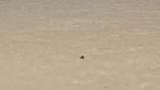 Micro Stepsons A Christmas Gift 4K