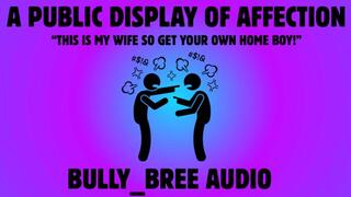 Public Display of Affection Audio
