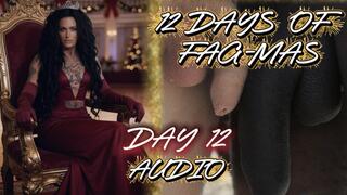 12 DAYS OF GAY-MAS AUDIO-DAY 12: Christmas Faggot Gangbang