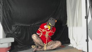 Christmas Shrimp Tie: Flexible Self-Bondage & Struggle