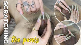 Scratching The Penis | LINH'S LONG NAIL | CRAZY ABOUT LONG AND NATURAL NAILS