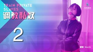 "Training a Private Slave 2 (Chinese Model)