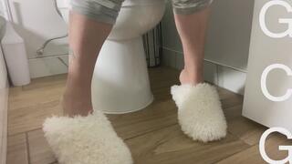 The daily dumps #721 mp4