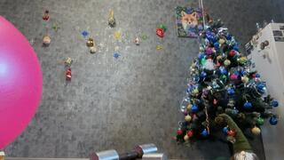 quiet ride on pink gymaball