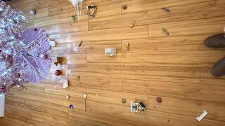 DESTRUCTION OF TINSELTOWN, A Giantess Christmas Tale