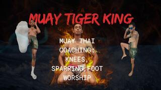 Muay Thai Coaching: Knees, Sparring, Foot Worship