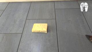 Cheese under heeled Pumps 2