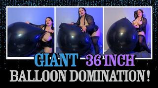 Custom Giant 36" Inch Balloon Domination 6 Pops!