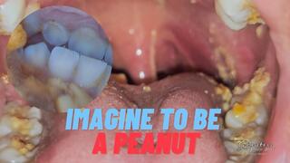 Imagine to be a peanut11