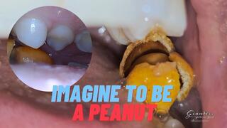 Imagine to be a peanut111