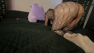 Worship My Big Juicy Ass Jerk Off Encouragement To My Shiny Hiney