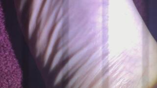 FLASH LIGHT RED CARPET