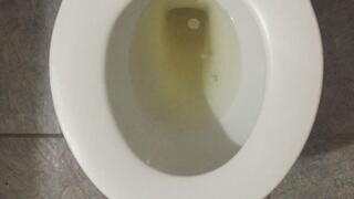 GOLDEN PEE