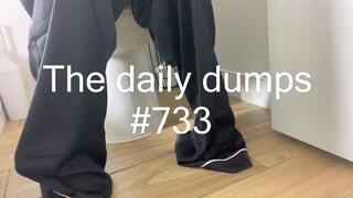 The daily dumps #733 mp4