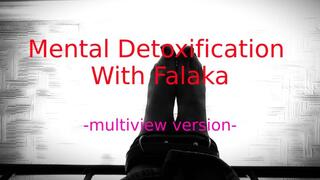 Mental Detoxification With Falaka -multiview-