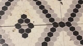 Ball Gags Fetish MP4