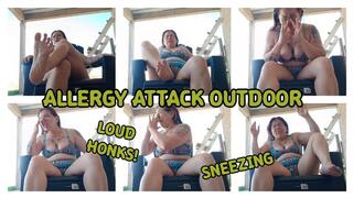 ALLERGY ATTACK OUTDOOR