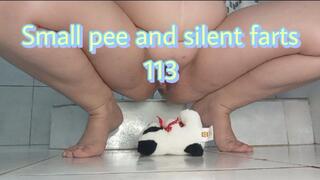 Small pee and silent farts 113