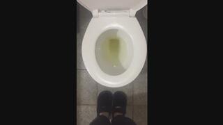 GOLDEN PEE TOILET
