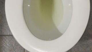 GOLDEN TOILET PEE